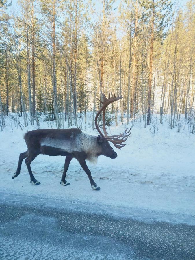 Yllaes Kanerva 105 Äkäslompolo Exterior foto